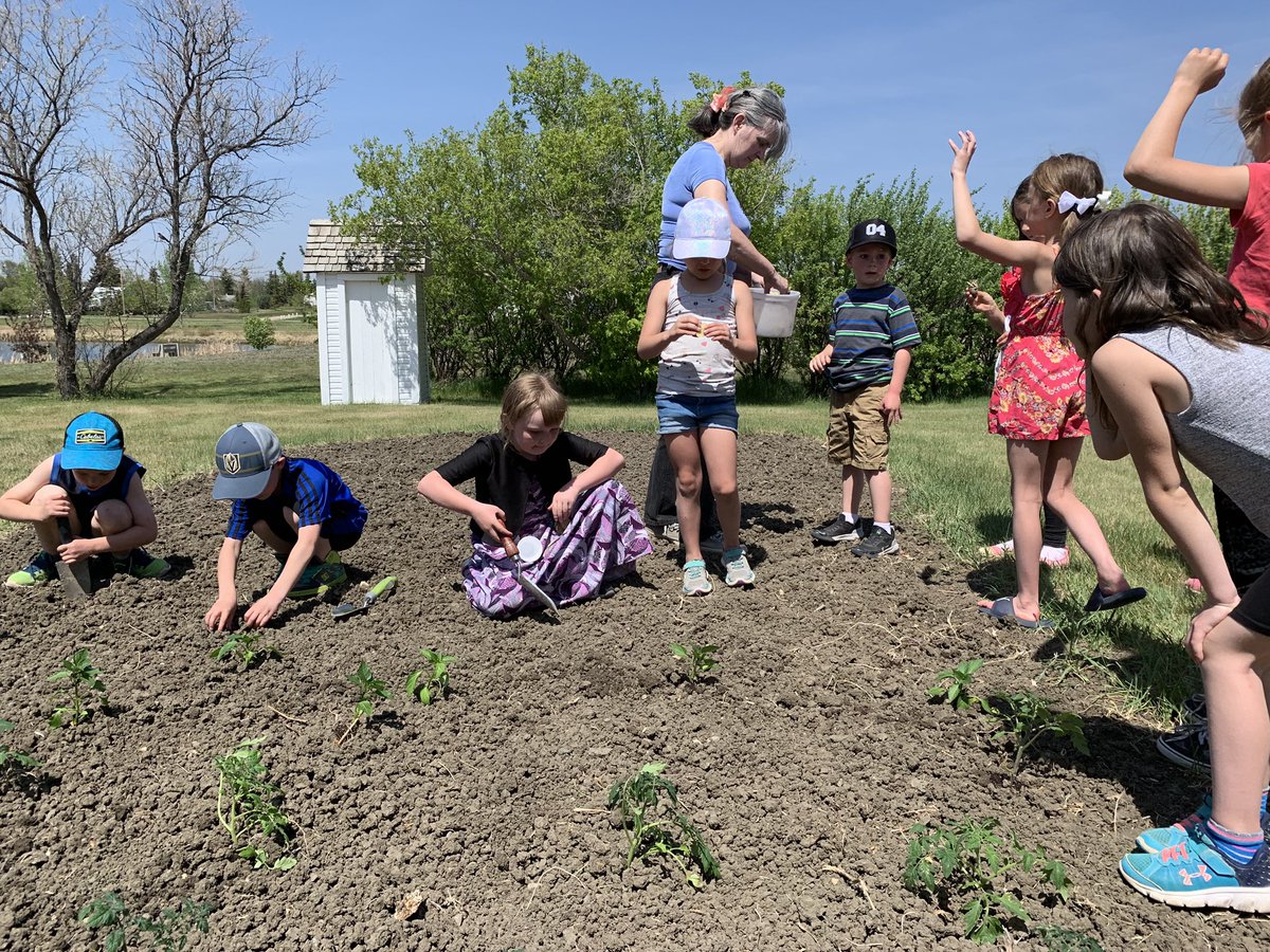 MissLeurer's tweet photo. We went to the museum today to help plant the garden! 🌱 We planted potatoes, tomatoes, peppers, and sunflowers. 🌻 Some Ss enjoyed the sprinklers in the park on our walk back! 💦 https://t.co/VFRiqBIS3q