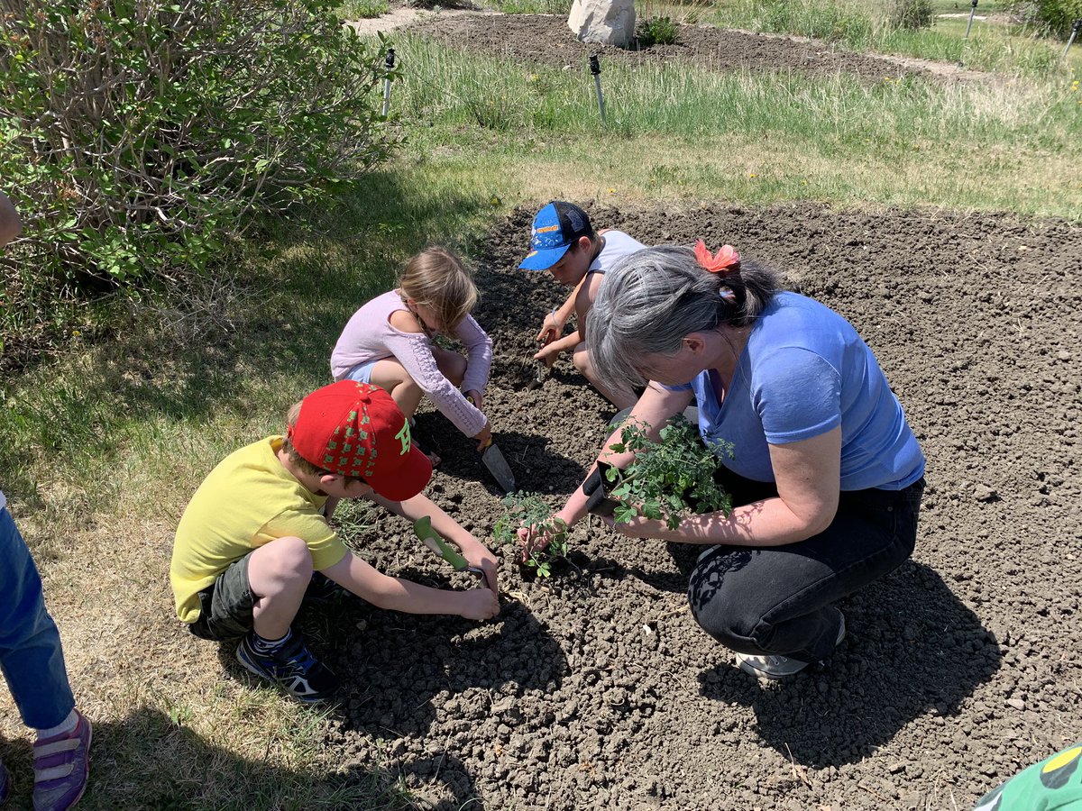 MissLeurer's tweet photo. We went to the museum today to help plant the garden! 🌱 We planted potatoes, tomatoes, peppers, and sunflowers. 🌻 Some Ss enjoyed the sprinklers in the park on our walk back! 💦 https://t.co/VFRiqBIS3q