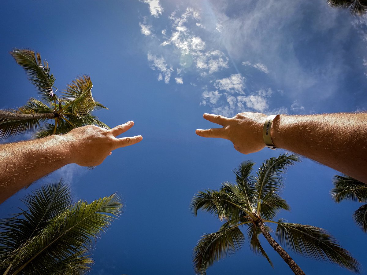 Nothing but blue skies and palm trees 🌴

#flipflopsnfun #occidentalmoments @barcelohoteles #barcelostories @cheapcaribbean #beach4everybreak #truebeachlover #puntacana @GoDomRep #godomrep #myDR #GoProHERO7