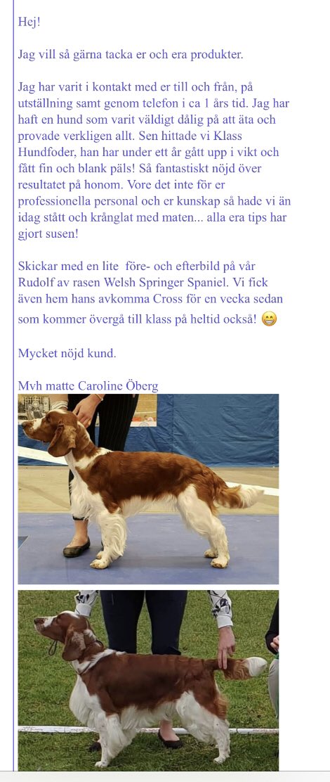 klassfoder's tweet photo. Vi har våra bästa dagar på jobbet när vi får kundåterkoppling att hundar mår bra av vårt foder ! Tack Carolina för återkoppling och vilken fin Rudolf du har 😍#mydog #healthyfood #wellbeing #doglife #welshspringerspaniel #doglovers #klassfoder #sedan1969 https://t.co/ZiIRtAL29u