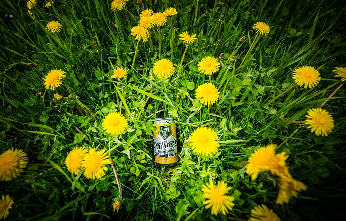 vonTrappBrewing's tweet photo. Oh, we are just dandy! How about you? #BohemianPilsner #seewhatwedidthere #WednesdayWisdom #Vermont #naturewalks #Drinkcraft #Drinklager #Drinkresponsibly #lagerthanlife #vermontgreenmountains #lagerlove #springwaterlagers #icecoldbeer #prost https://t.co/SZXXDgX7kT