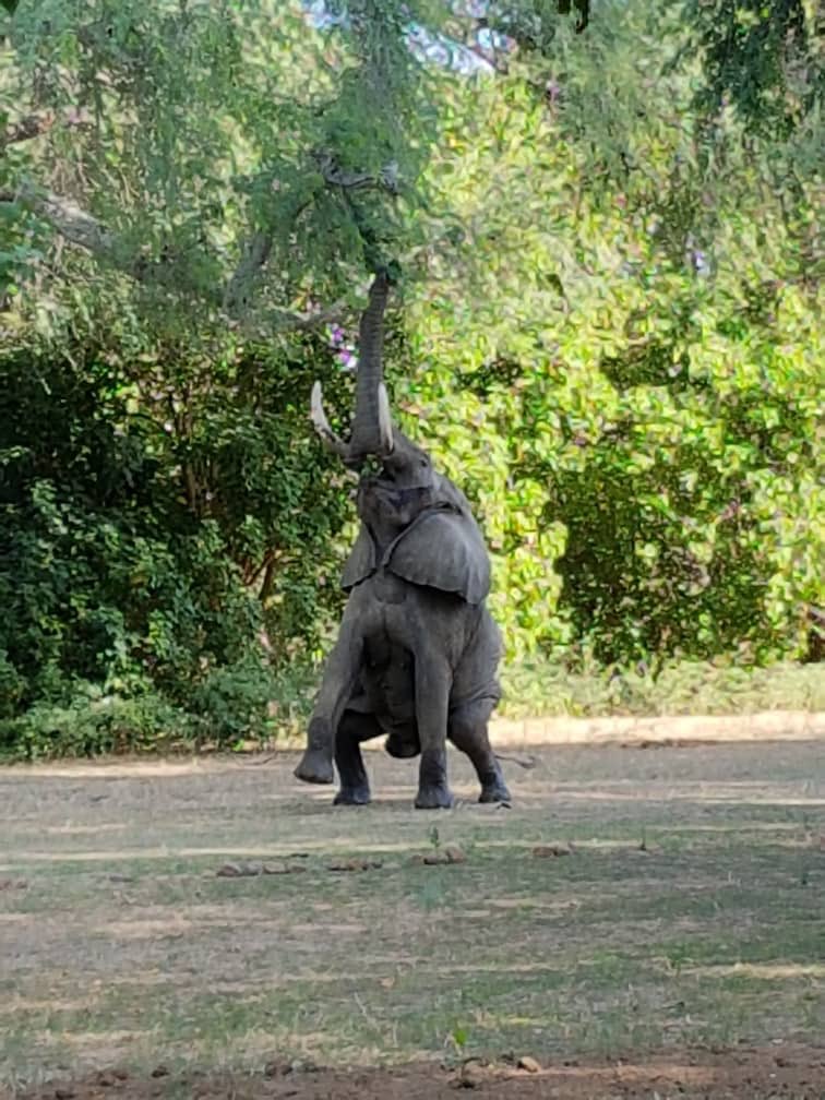 Gerald John Smith tweet media