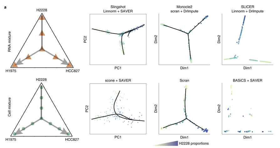 mmw_lmw's tweet photo. #SingleCell_RNAseq | Benchmarking analysis pipelines using mixture control experiments | Comparisons of scRNA-seq trajectory analysis | Matthew Ritchie @WEHI_research @naturemethods https://t.co/8YAa5u7zCo https://t.co/CSA3frzZhS