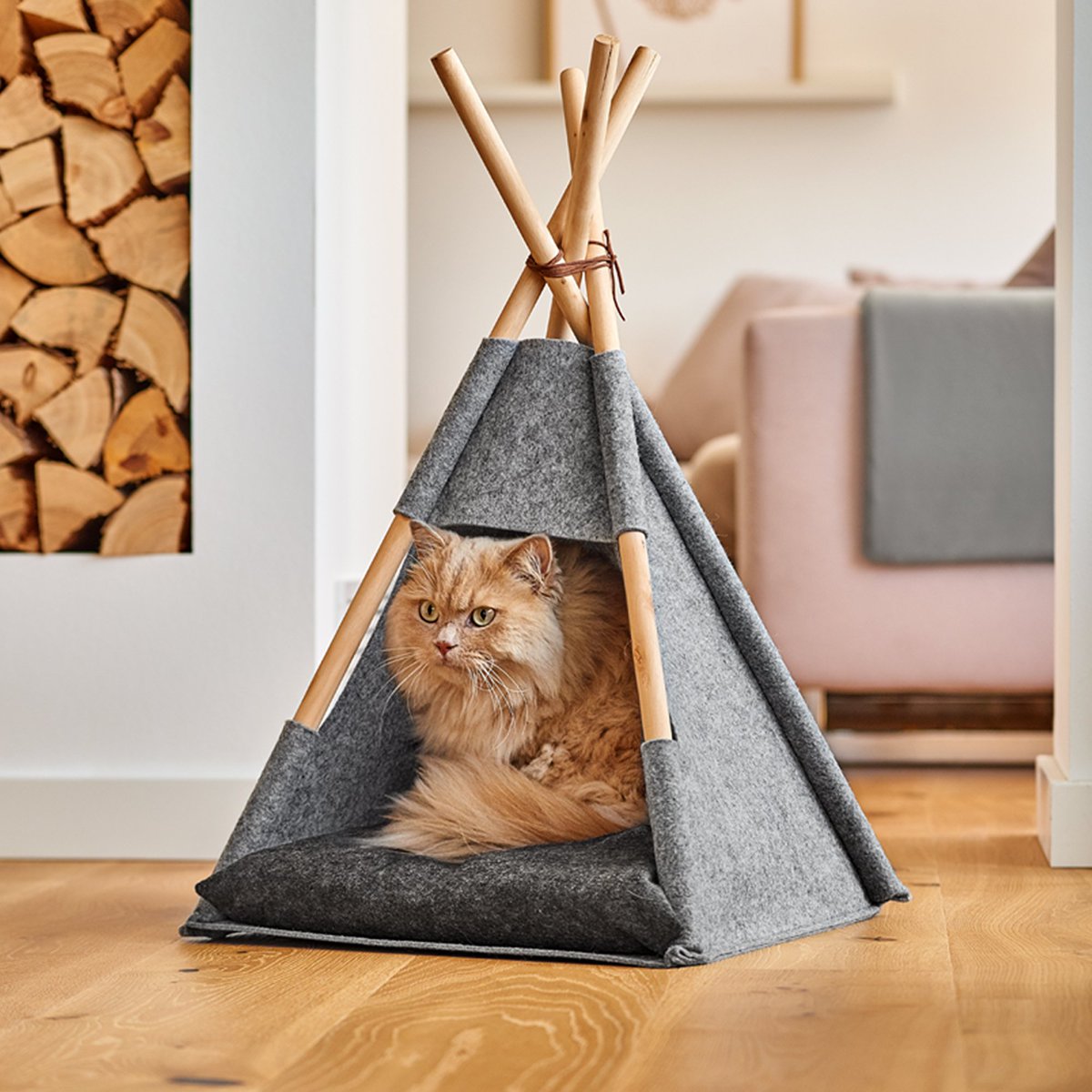 A kitty, sitting pretty 🐱 wayfr.co.uk/WFf0lp