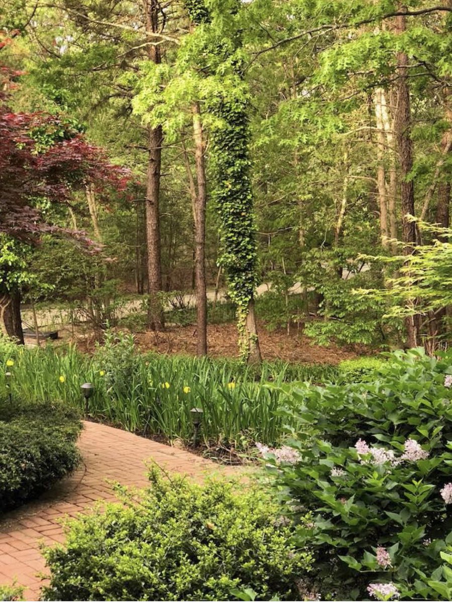 Love where you live. #springhassprung