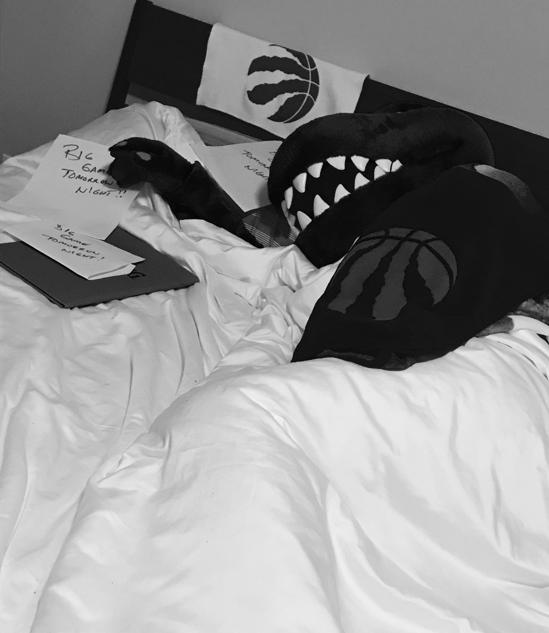 The Raptor on Twitter: