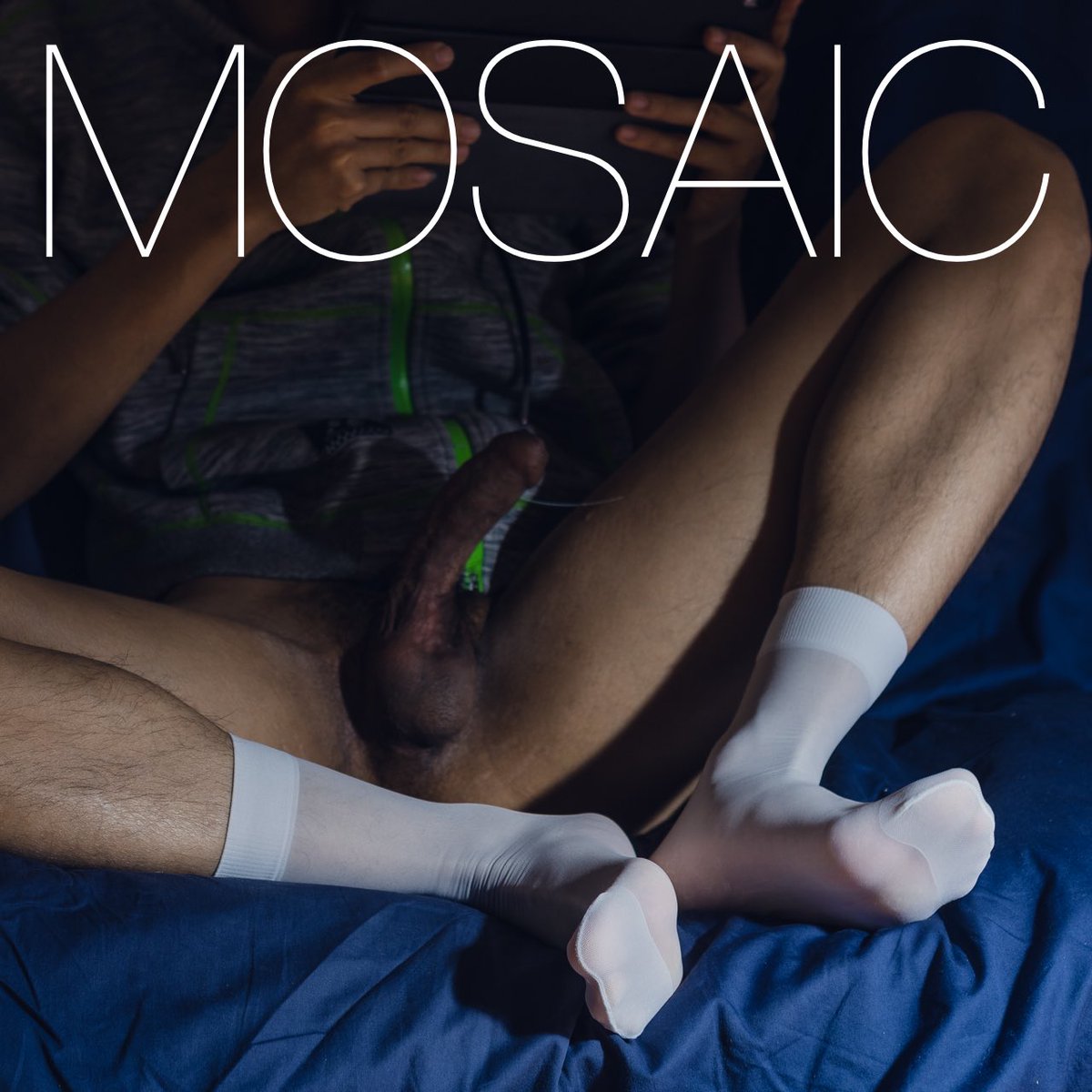 MosaicInForest's tweet photo. https://t.co/RHK8lD6CtN