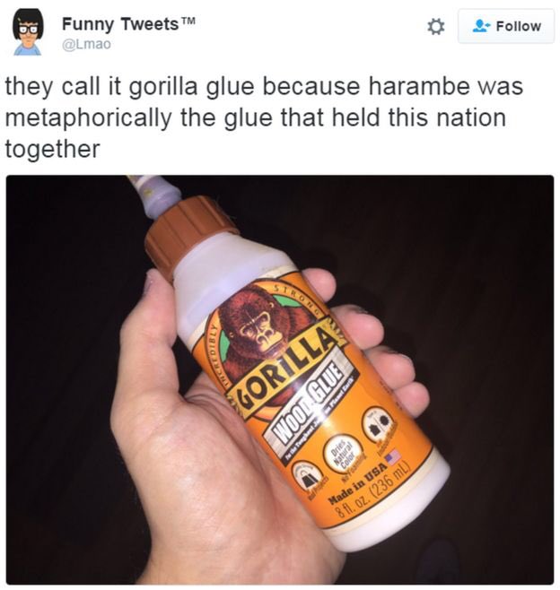 Harambe4G's tweet photo. Nothing gets more American than me. I held this nation together and only I deserve the title of G.O.A.T. #2019APUSHGOATKHS https://t.co/BZGAsVlePX