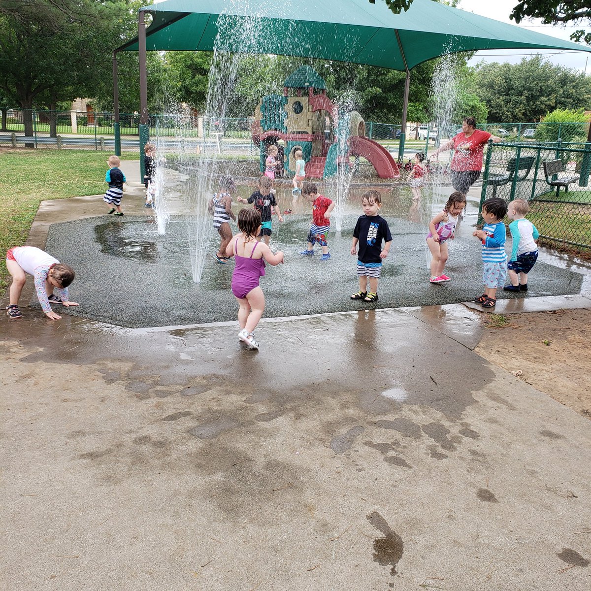 ECDC Bumble Bee tweet media