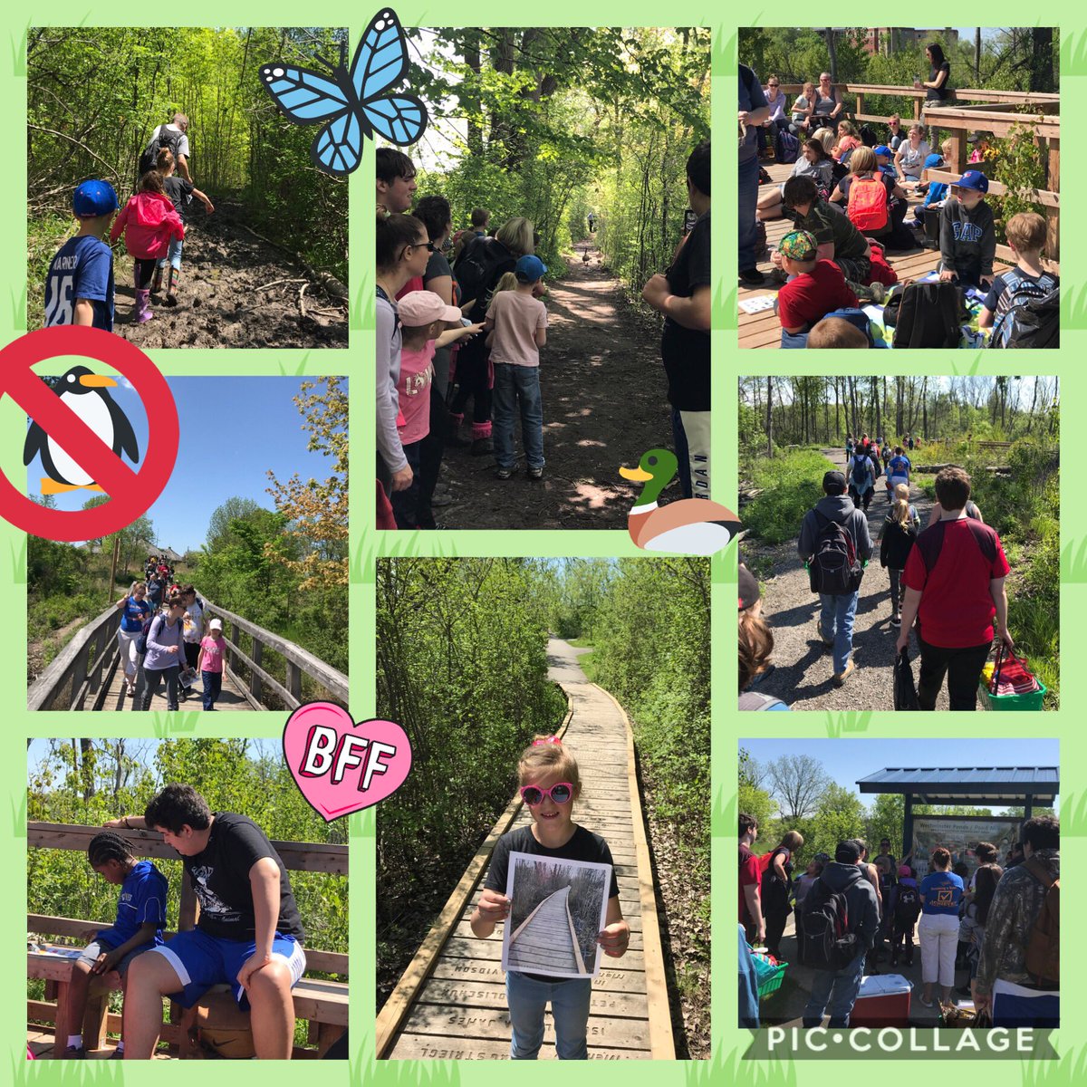 msPatkau's tweet photo. Amazing time last week when #IWIPivot and our @NorthMeadowsTV Little Buddies went to Westminster Ponds! Picnic, hike, scavenger hunt and native species bingo - and best of all, buddy fun! @MLSchoolHealth @SDCISaints @UTRCAmarketing   #tootiredtotweet https://t.co/IZkat5IrVX