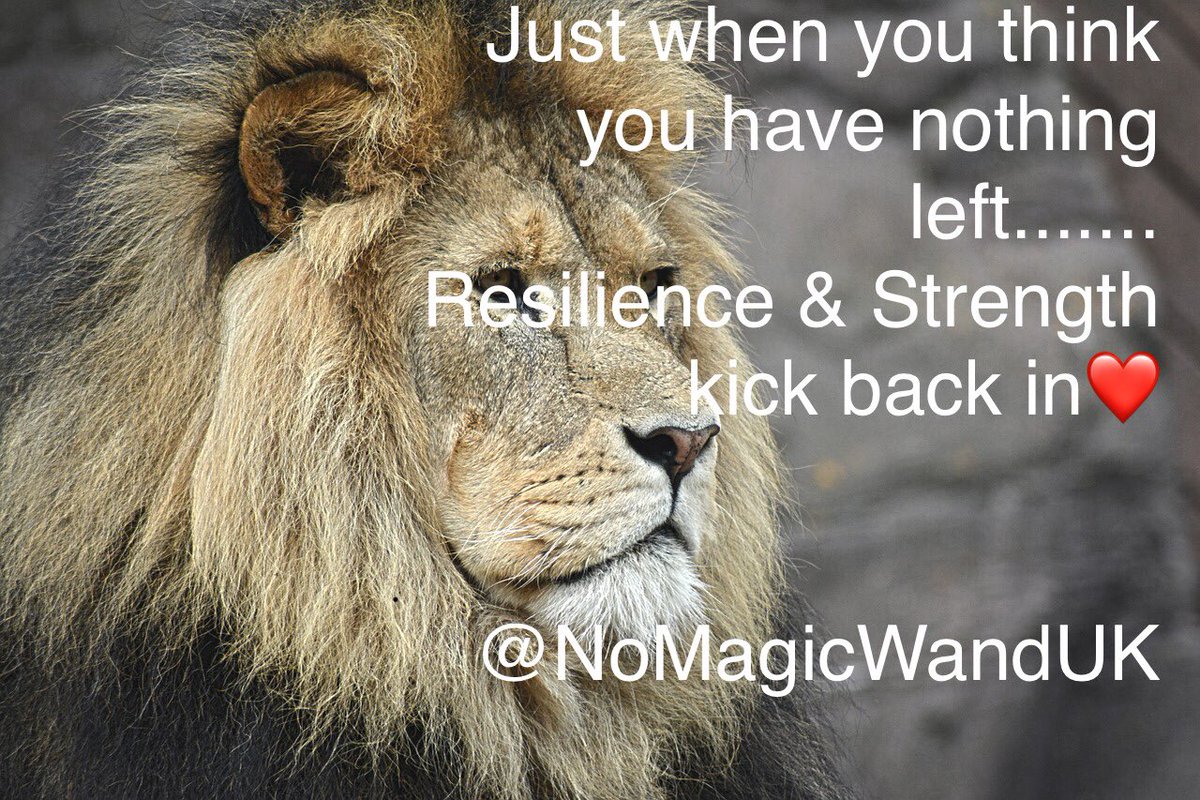 nomagicwanduk's tweet photo. Sometimes as parents of children with #autism #pda #multipleanxiety #OCD #ODD #Depression #SEND #SENDVCB #mentalhealth you have to just dig super deep❤️ #nomagicwanduk https://t.co/jJwR6Qb5Qs