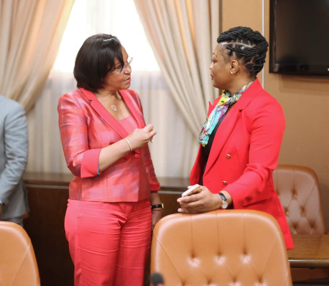 TourismeGabon's tweet photo. Retour en images sur le Conseil interministériel de ce mercredi 29 mai 2019. #ConseilInterministériel

📷 Communication Gouvernementale. https://t.co/zoobqpK7q6