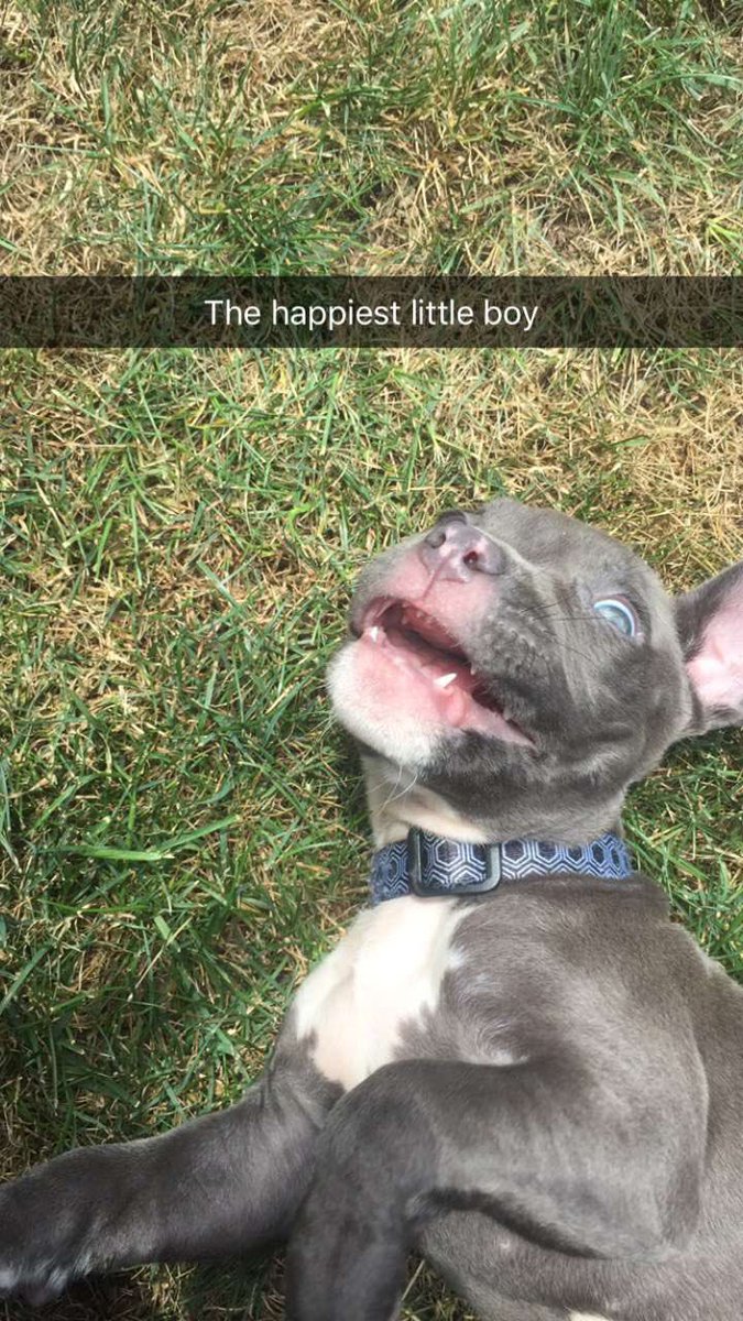 MorganBisbey's tweet image. It’s my son’s First Birthday today so pls enjoy some pictures of our first year with him💖