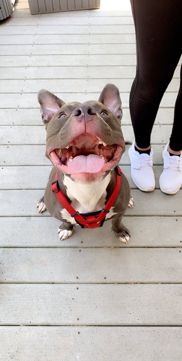 MorganBisbey's tweet image. It’s my son’s First Birthday today so pls enjoy some pictures of our first year with him💖