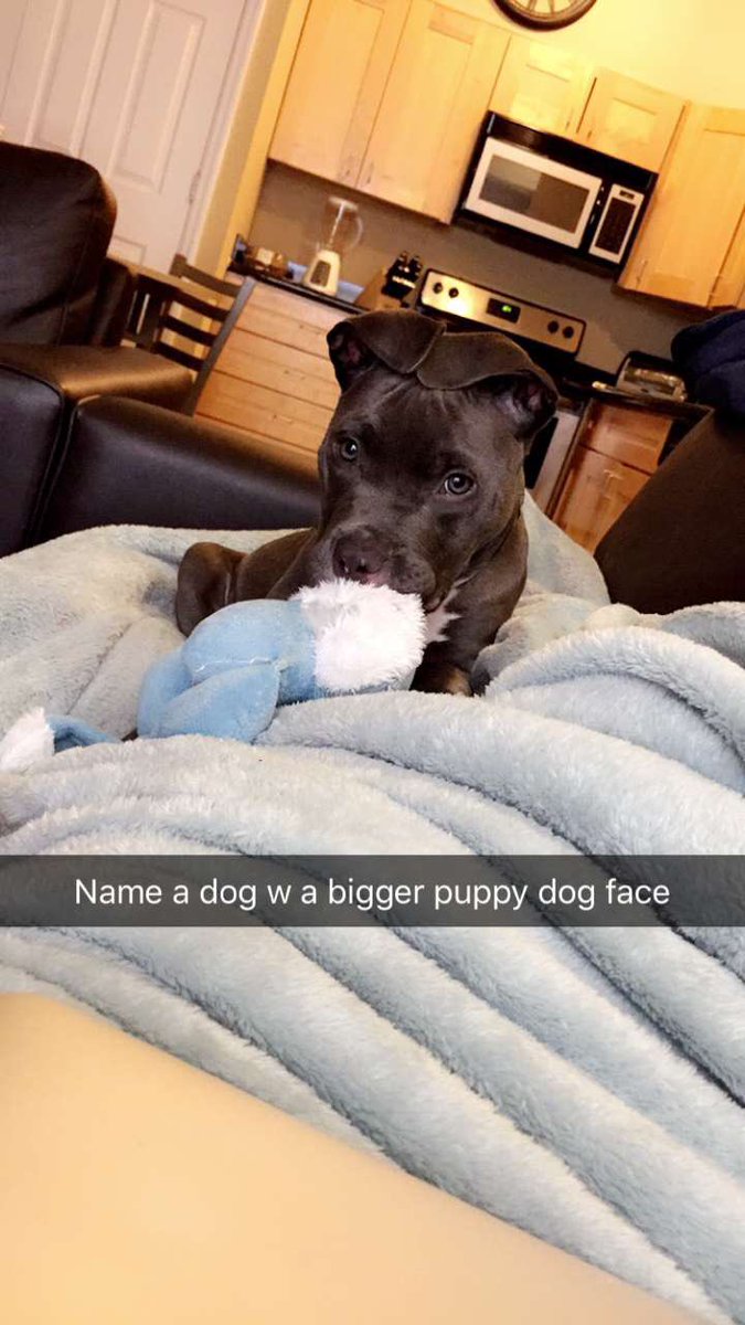 MorganBisbey's tweet image. It’s my son’s First Birthday today so pls enjoy some pictures of our first year with him💖