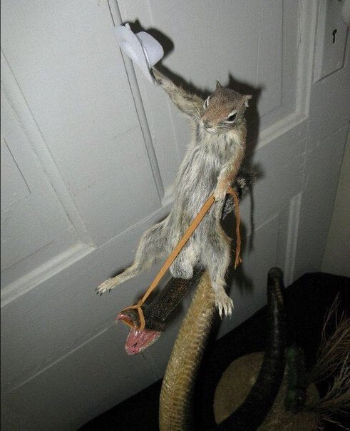 garyfromteenmom's tweet image. sandy cheeks be wildin