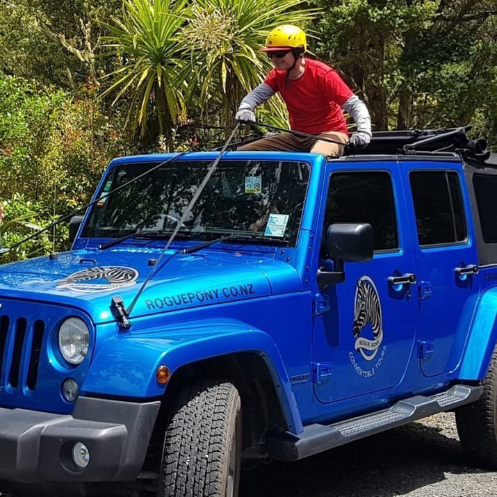 Are you visiting the Bay of Islands? Have you been wanting to get behind the reins of a Rogue Pony? Now you can! Hire either of the Jeeps or the Mustang convertible for a self drive adventure and #beyondtheordinary #nzmustdo
mustdonewzealand.co.nz