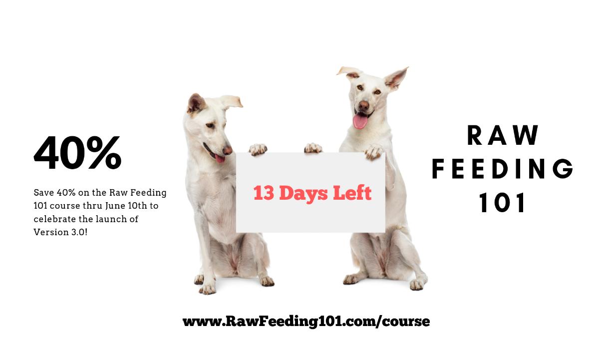 dogdadofficial's tweet photo. 💥 13 Days Left! 💥 - https://t.co/u4B5ZqutRz https://t.co/EFzWcwDjlg