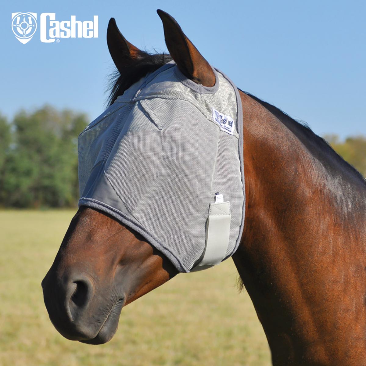 Equaide's tweet image. What do you think about when you hear the word summer? Sunshine, the beach, warmth? Well we hear, "FLIES". Here are some tips to have a fly free Summer: equisearch.com/discoverhorses…
#EquineCare #ProudFlesh