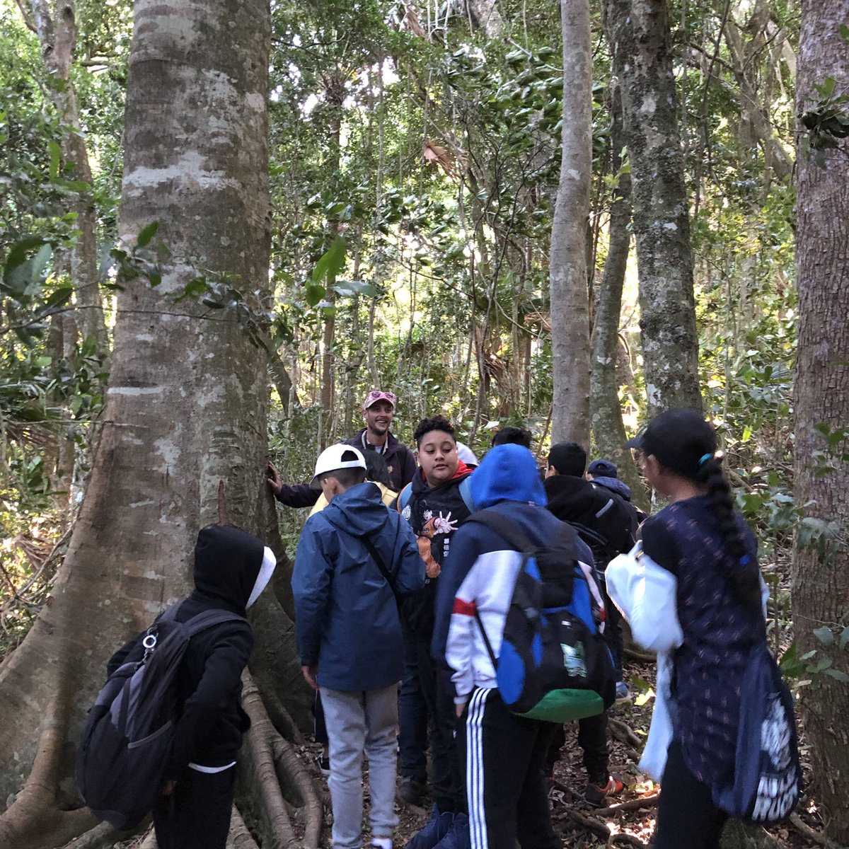 merrylandseast's tweet photo. A morning stroll.
Learning h about the littoral rainforest and how plants here have adapted to life beside the sea.
#stage3Science
#stage3Camp https://t.co/uWUO3TjFZy