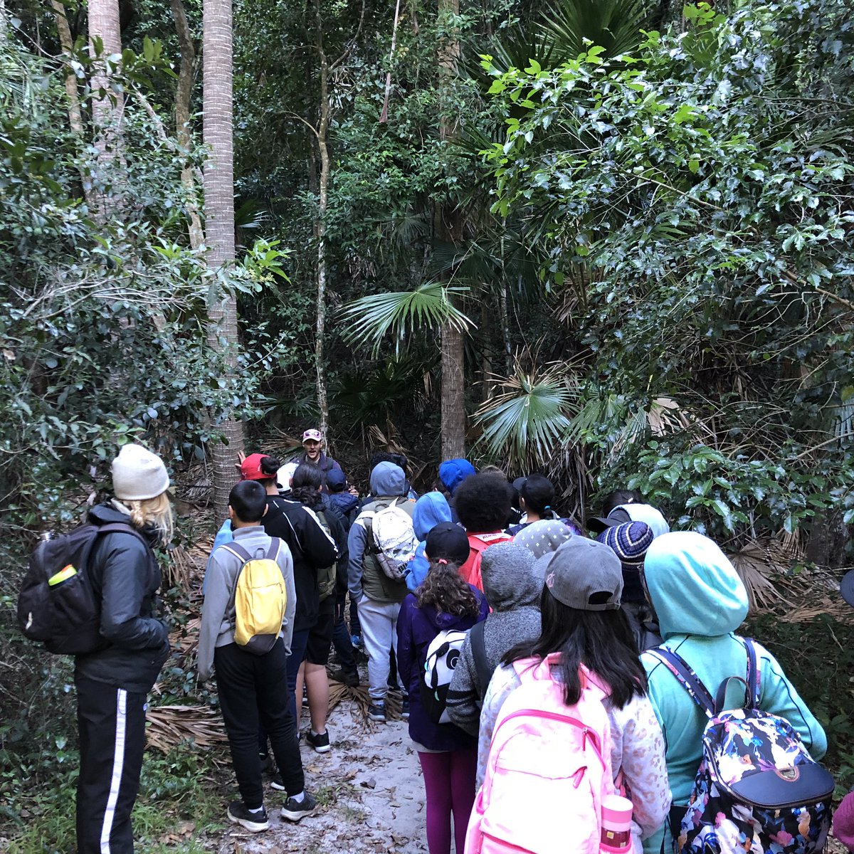 merrylandseast's tweet photo. A morning stroll.
Learning h about the littoral rainforest and how plants here have adapted to life beside the sea.
#stage3Science
#stage3Camp https://t.co/uWUO3TjFZy