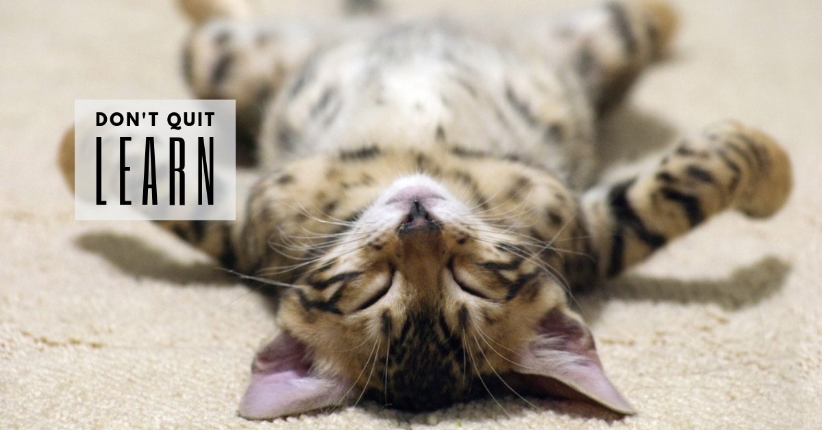 morgancarrie's tweet image. Are you a PR professional who wants to grow their digital skills? Then I&apos;d love you to join my Facebook group. 

facebook.com/groups/PRpros/

#prpros #publicrelations #prprochat #digitalpr