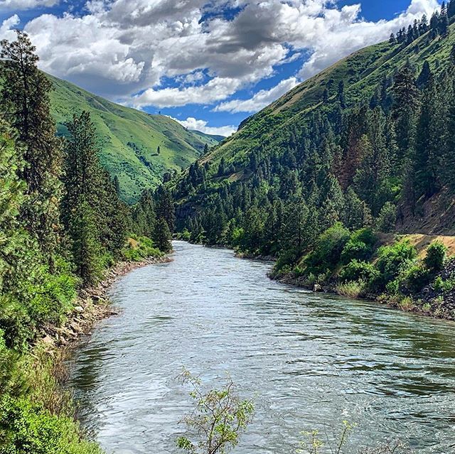 Idaho, You have surprised me at every turn. 
Gorgeous. Vivid. Alive. 🏞☀️⛺️
#idahome #idaholife #camping bit.ly/2WxPo0A