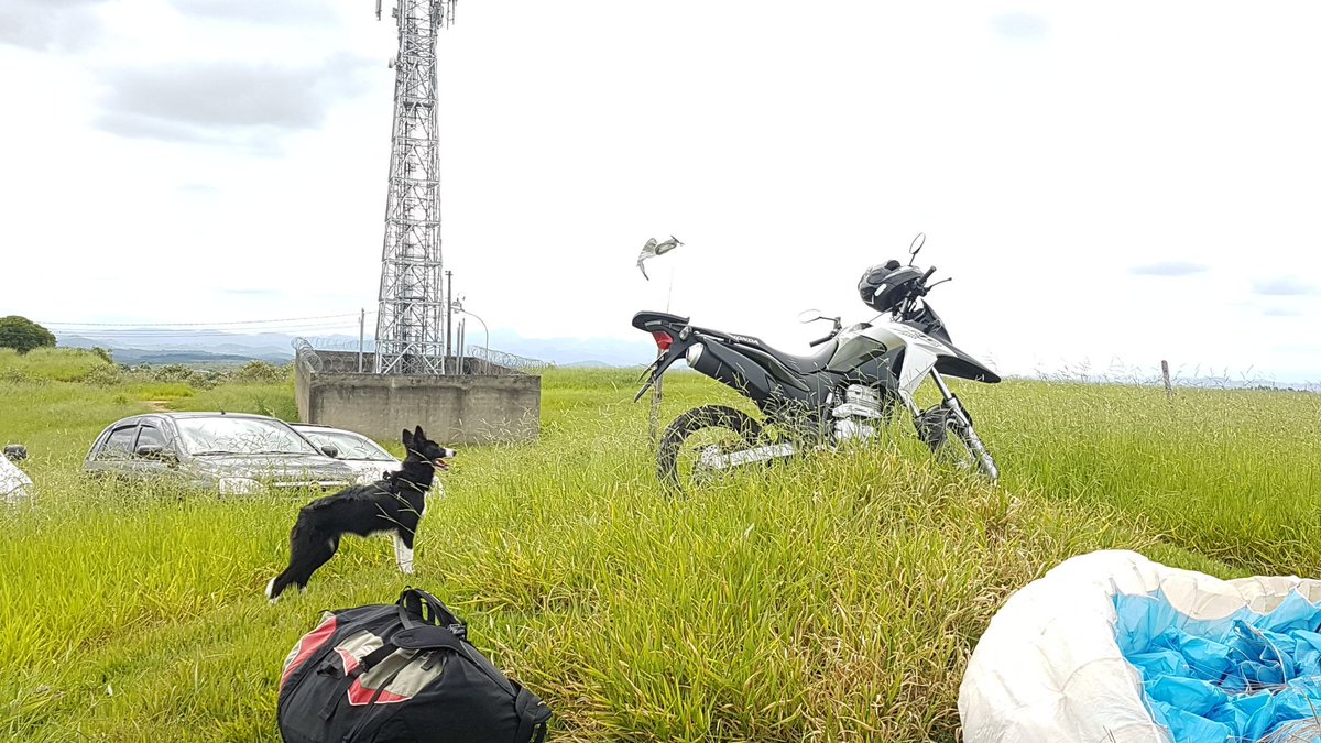 flyboybrasil's tweet image. Quando o morrinho está bom #flydog #paragliding