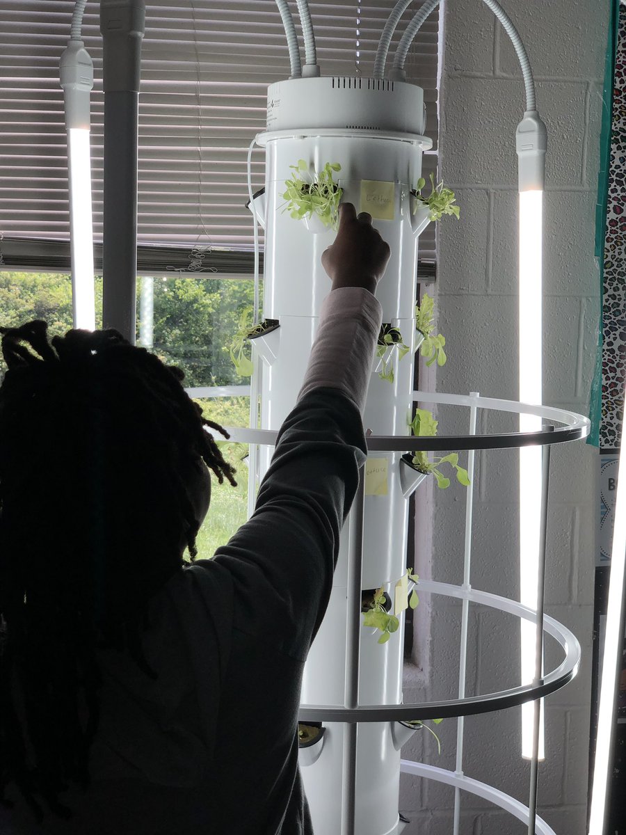 kevindstarks's tweet photo. Today the 5th grade scholars in @mrs_davis5 class got a chance to eat the lettuce theyβve grown! Science is yummy! @RGSDNews @ScottSpurgeon1 #lemasterselementary #Lemasters #learning https://t.co/1OLeGSwk0e