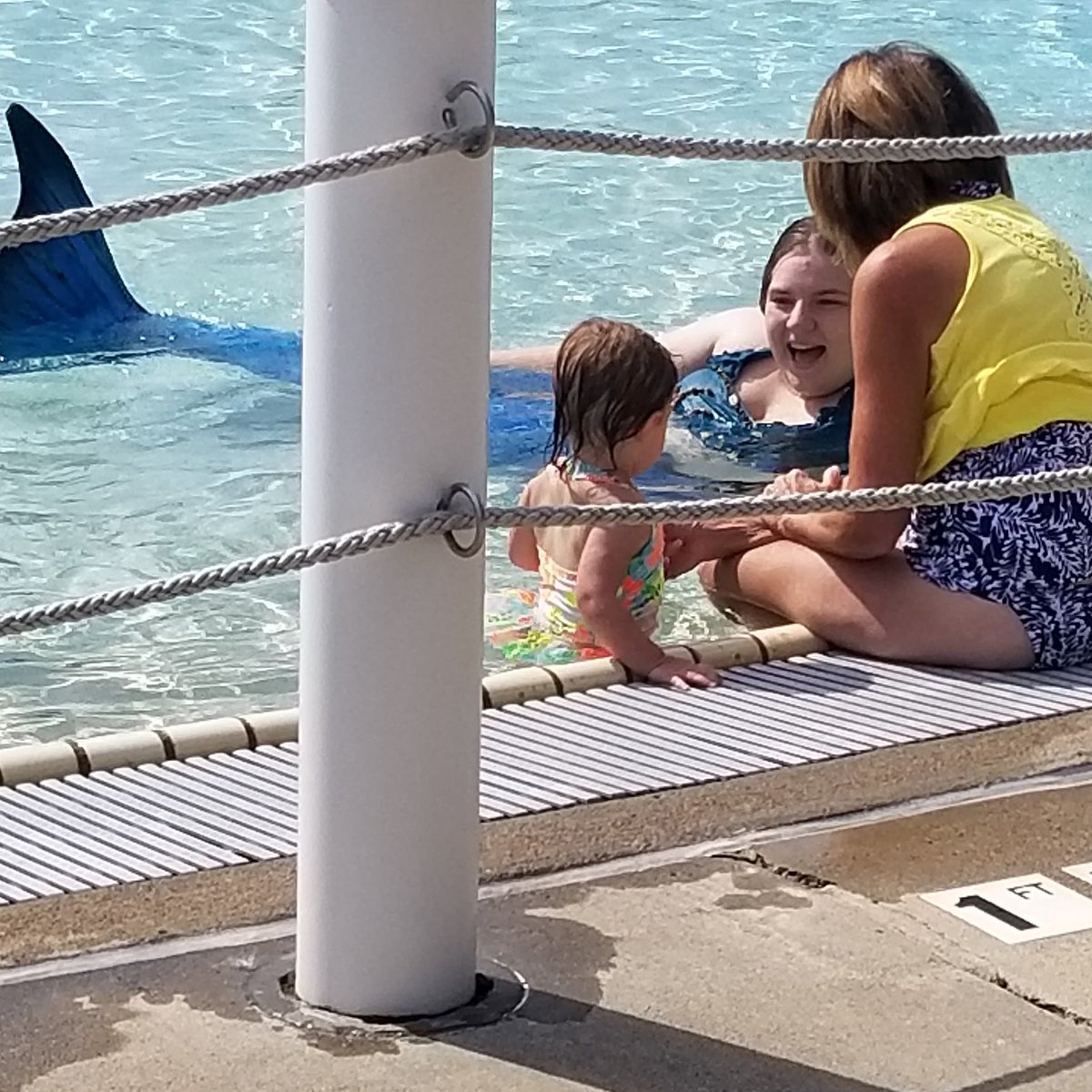 SeasprayMermaid's tweet photo. In 1 month I'll be at @anokaaquaticcenter for #littlesplashers and I couldn't be more excited!
#seaspraymermaid #lookout4seaspray #spotamermaid #lovemn #minnesotamermaid #realmermaid #anokaaquaticcenter #hireamermaid #mermaidentertainer #magic #mermaid #incredible https://t.co/HZz7ZF5nUy