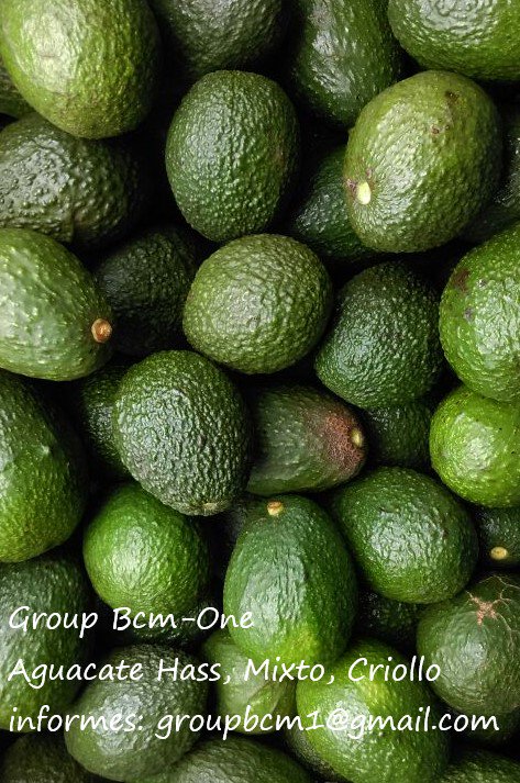 GroupbcmOne's tweet image. Aguacate calidad de exportación, productos 100% mexicanos entregaba todo el pais