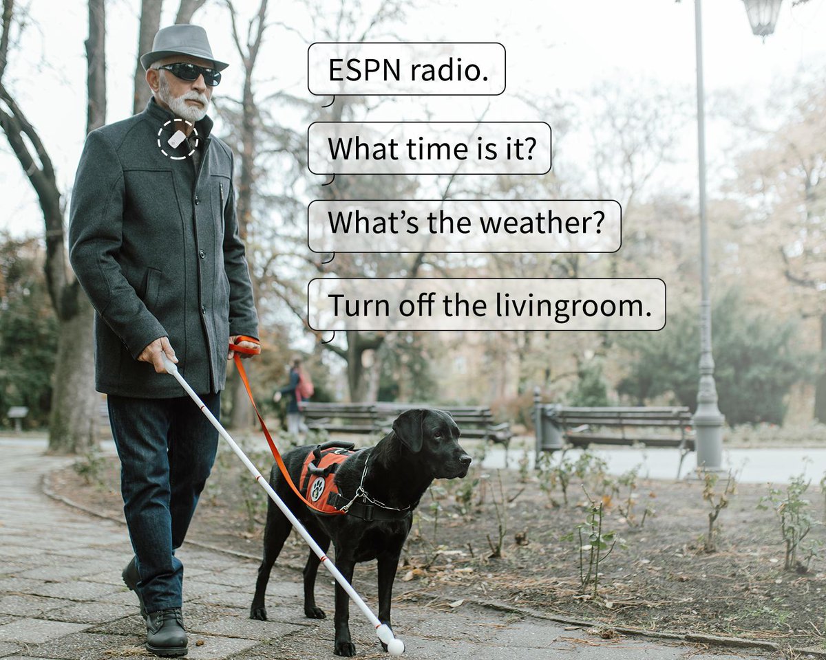 Собака поводырь. Поводырь книга. Слепой в парке. Дай а. Собака поводырь картинки.