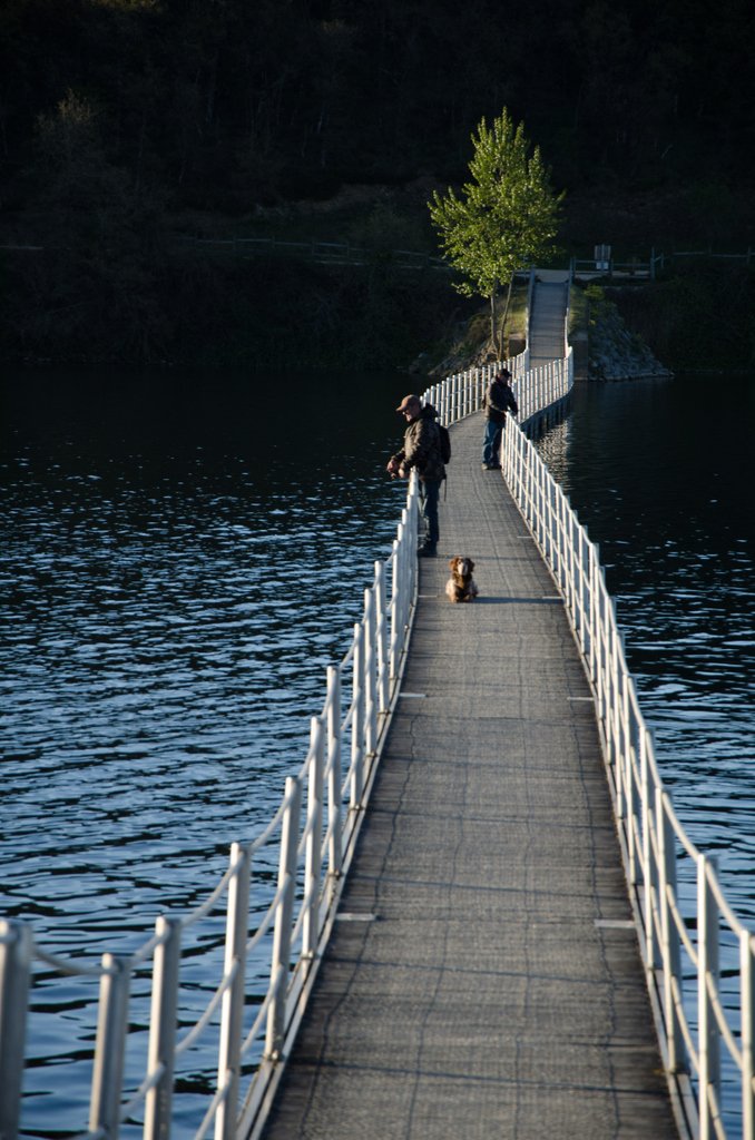 © Aitor Mendibil - Estudiante de EDLatam - NYIP
Proyecto Unidad 2 - Líneas Paralelas
soo.nr/aLXJ
Aprende Fotografía Online en la Mejor Escuela de Nueva York