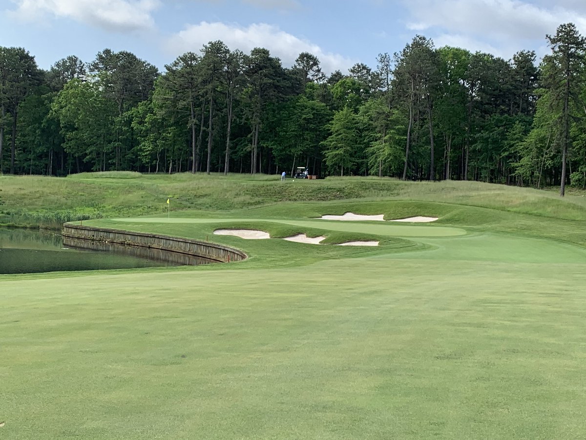 Michael Guli tweet media