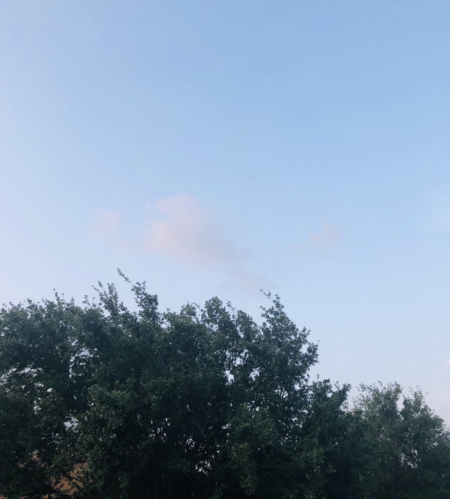 CityOfMissionTX's tweet photo. Perfect evening for a 🏃🏻♀️ 🏃! Get out there and ENJOY 😉 it. #FitMission #OurMission #AAC2019 https://t.co/02Tx6dAMj2