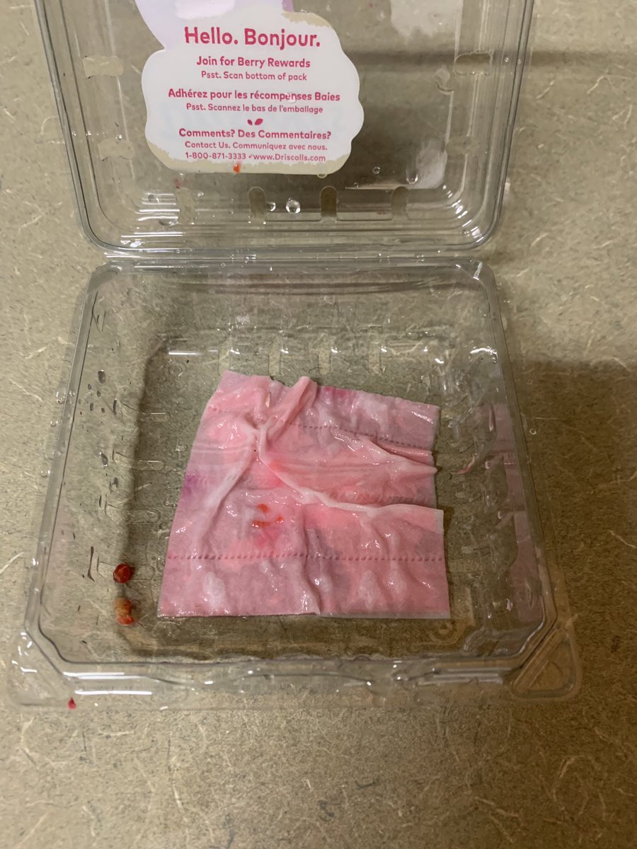 MysteryPaws's tweet image. Wanna see a magic trick?

#IDontHaveAProblem 😅