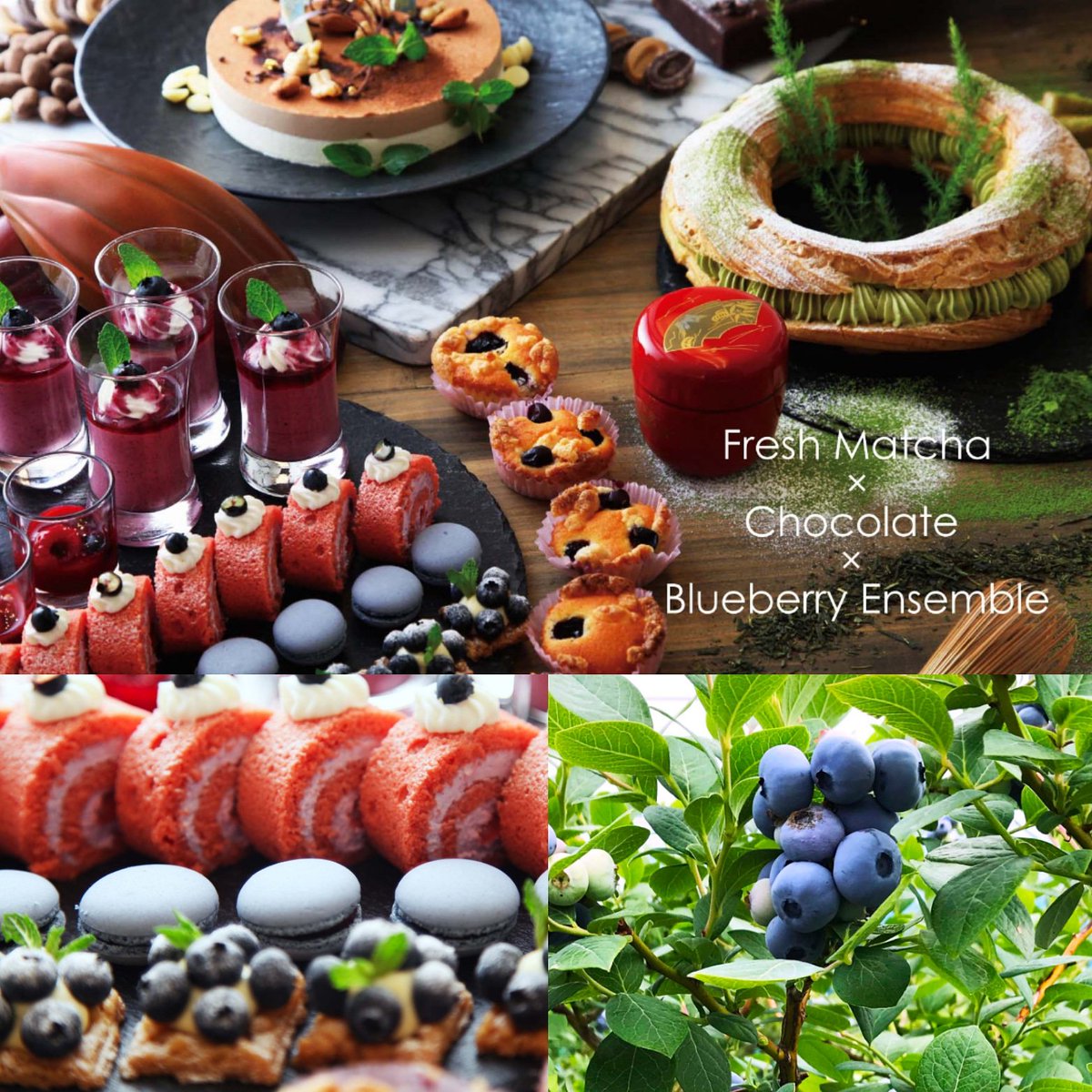 アオアヲ ナルト リゾート 週末ランチフレンチビュッフェは抹茶 チョコレート ブルーベリー登場 スーパーフード として海外でも注目の抹茶 原農園さんのブルーベリーもお目見え 詳細 Web予約 T Co Jqdpgsgzbj 徳島カフェ 徳島ランチ 徳島
