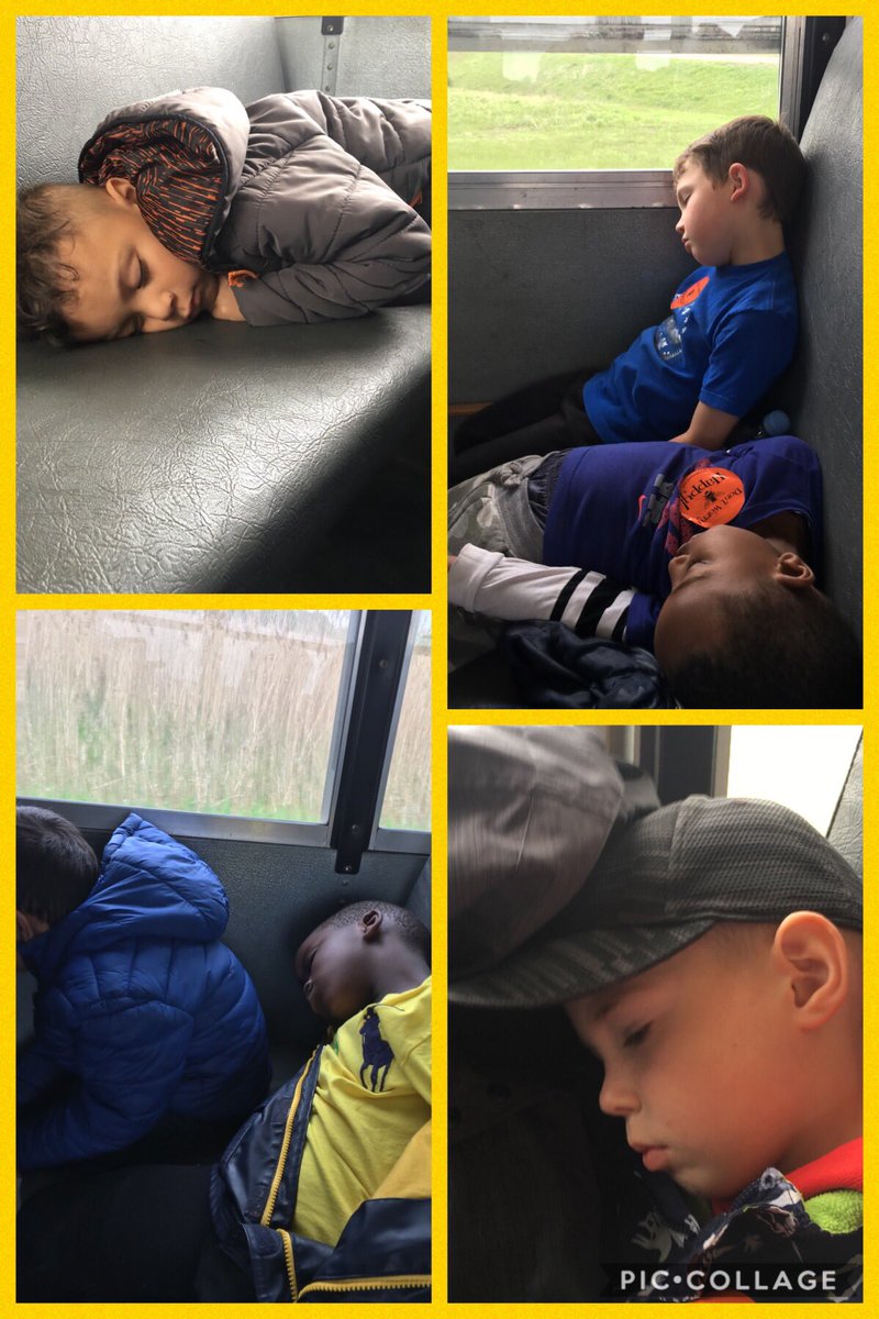 Jenn_Lalonde's tweet photo. What a fun day today at Clovermead! We learned all about bee’s and even saw the queen bee. Safe to say we were all a little tuckered out on the way home 😉 @stmikeslondon @clovermead #stmichaelfdk #fieldtrip #LDCSB https://t.co/W37hL2YPZj