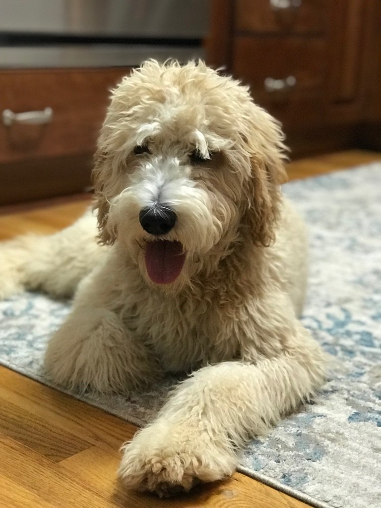 iwuzrunning's tweet image. 