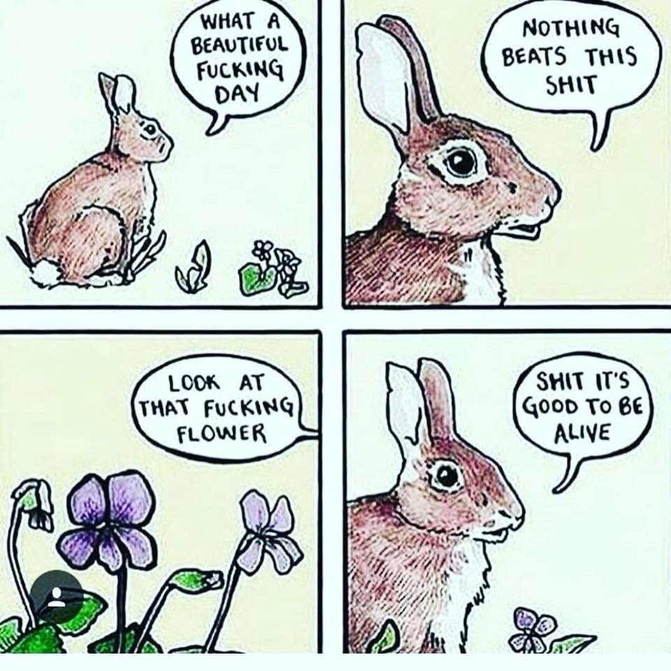 Paul Kozak (@kozak) on Twitter photo 