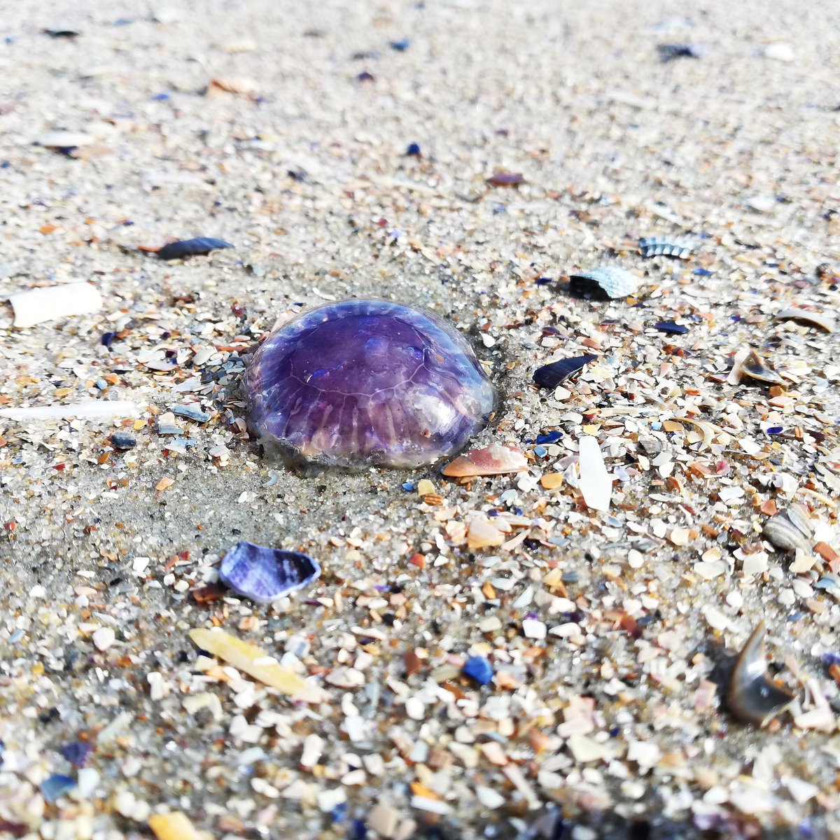 Bastian Melnyk On Twitter Der Inselwitz Ist Vorbei Doch Die