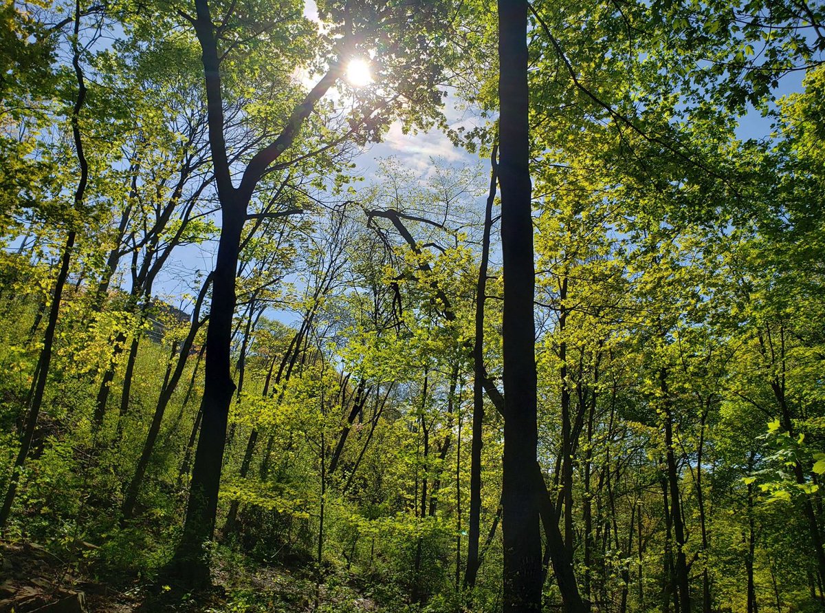 exploder_the's tweet image. 