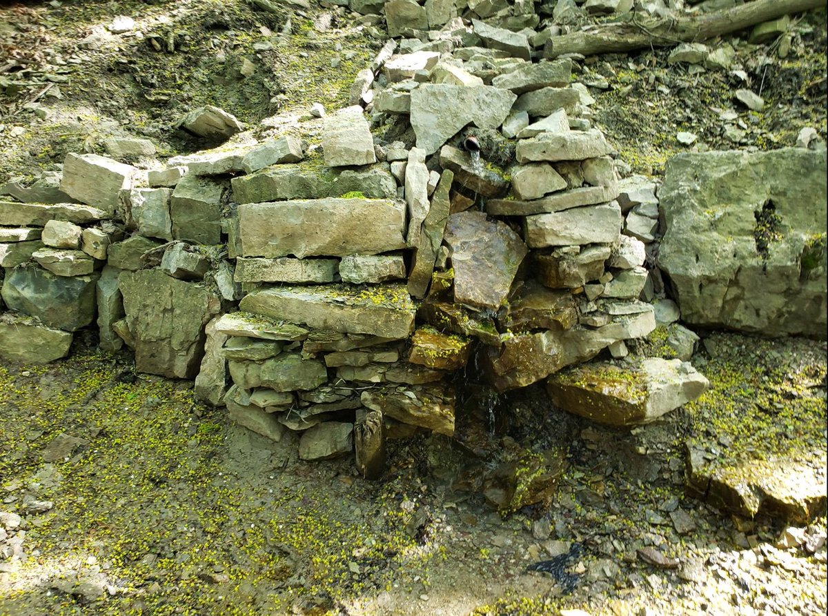 exploder_the's tweet image. 