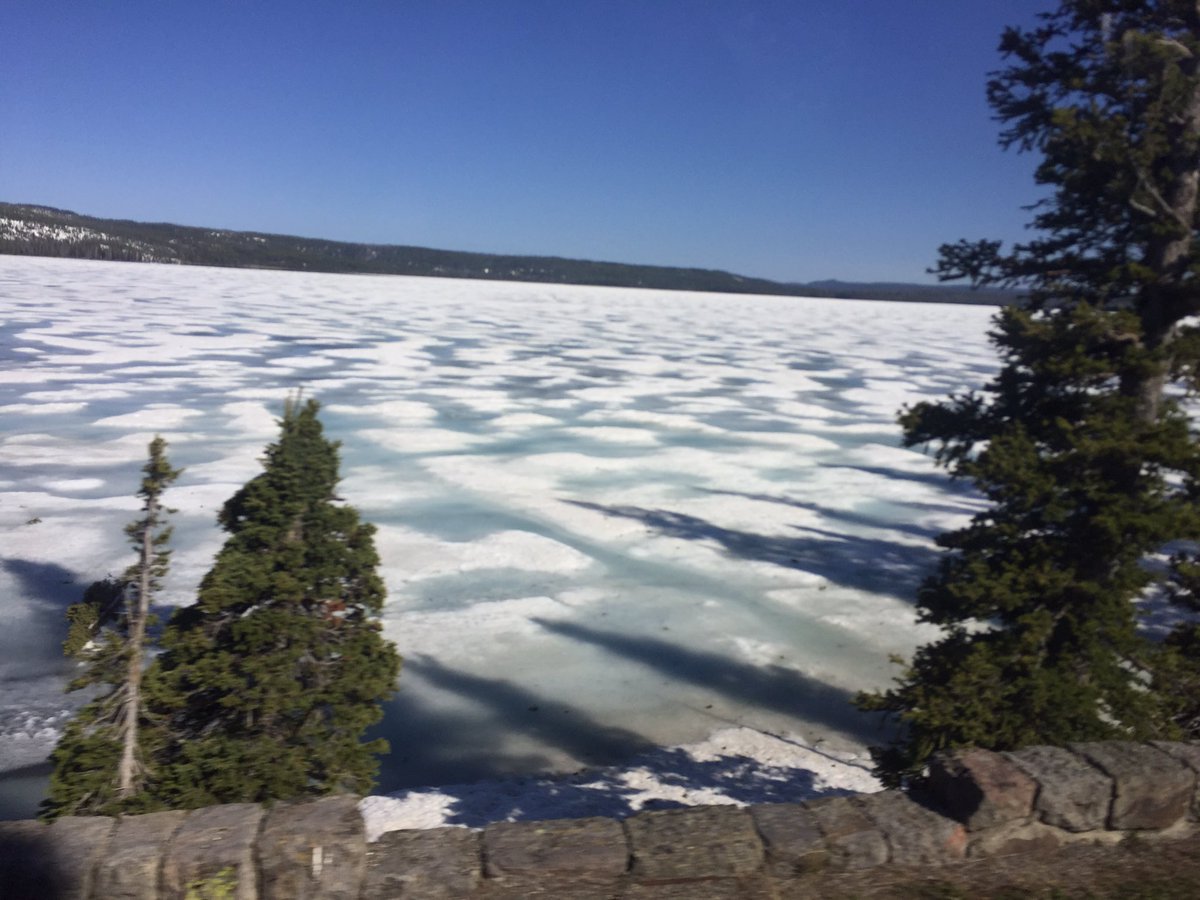 ms_ecooperclass's tweet image. What an amazing day!! Yellowstone, Tetons, and Colter Bay never disappoint!  #TetonsCPS  @Szydlowskim @jmscyclones