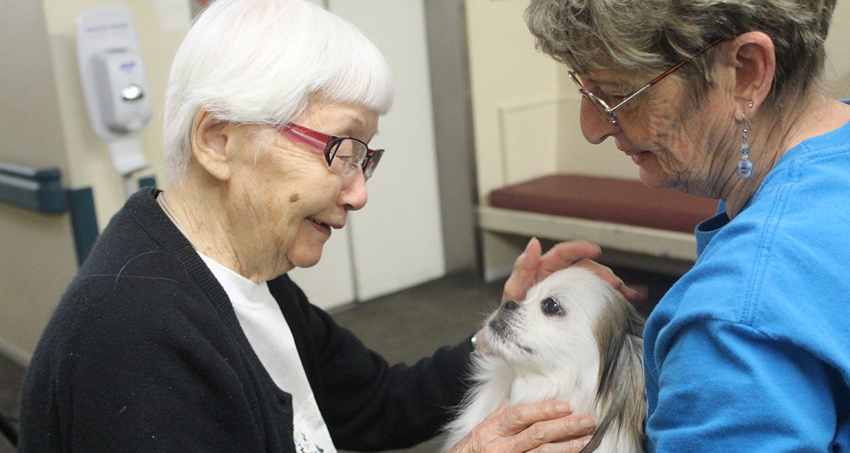 We love visits from our favorite four-legged friends. #PAWS #RowntreeGoneToTheDogs