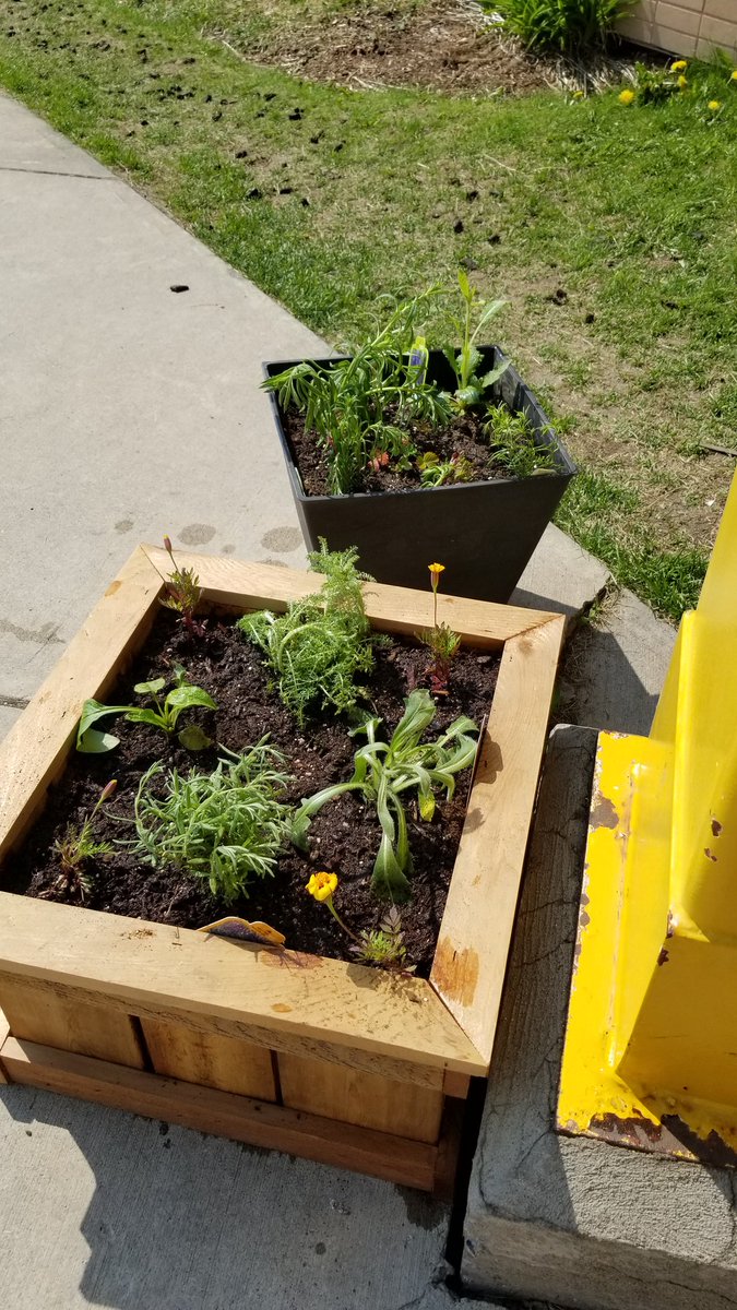 Check out the new plants at @aebowers_rvs! Thank you so much for these pollinator-friendly plants CWF! #cwfwildspaces #happybees #greenthumbs
