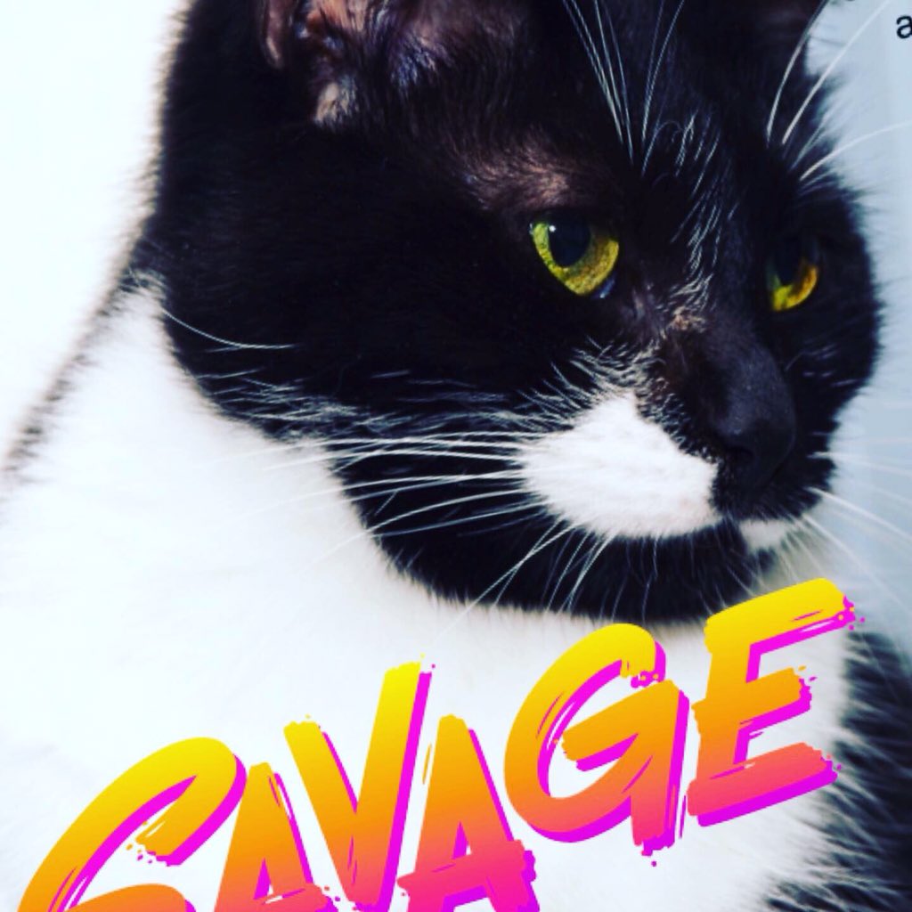 Looking for love! 803-279-1613