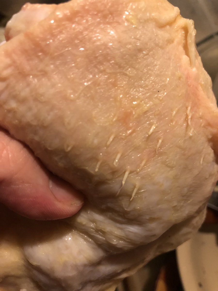 Miss_Becca_PSN's tweet photo. @TysonBrand this is absolutely unacceptable. Quills and Feathers still embedded in every single thigh in the package. What happened to Quality control? https://t.co/AQfOh2ZjBm