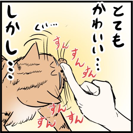 猫との戯れは傍から見られるとそんなもんです笑 