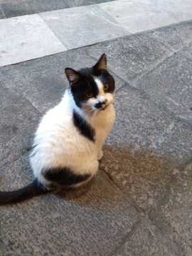 Ver imagen en Twitter